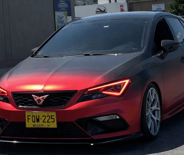 Polarizado - imagen 2